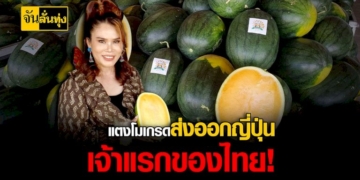 เจ้าของฟาร์ม-แตงโมสายพันธุ์ใหม่-ดีกรี-ส่งออกญี่ปุ่น