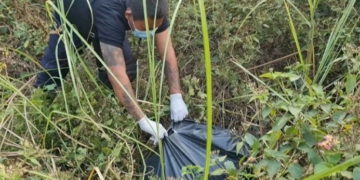 นึกว่าศพ!เจอถุงดำต้องสงสัยทิ้งในพงหญ้า-ที่แท้เป็นซากปลาตาย