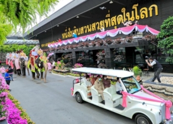 คู่รัก-49-คู่-ควงแขนจดทะเบียนสมรสบนหลังช้าง-อาณาจักรสวนสวยระดับโลก-สวนนงนุชพัทยา