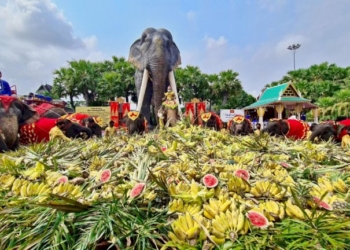 พุงแทบแตก!-ฉลองวันช้างไทย-สวนนงนุชพัทยาจัดโตะจีนผลไม้-3-ตันให้กินจุใจ