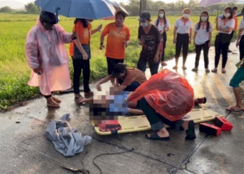 พายุฤดูร้อนถล่ม-อ-บ้านบึง-จ.ชลบุรี-ทำต้นไม้ใหญ่ล้มขวางถนนหลายสาย