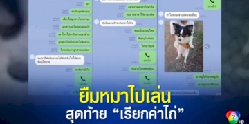 สาวงง!-เพื่อนพ่อยืมหมาไปเล่น-พอจะเอาคืน-กลับถูกเรียกเงิน-3,500-บาท