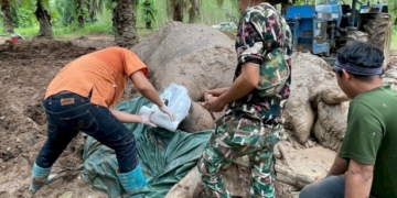 เผยผลผ่าซากพลายโค้ก-พบกระสุนอยู่รอบตัว-39-นัด-อดทนถึงที่สุดแล้ว-จากไปอย่างสงบ