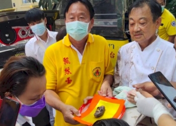 ล้างป่าช้าที่ชลบุรี-ขุดเจอ-“กุมารทอง”-สภาพสมบูรณ์-มือขวาทำท่าวันทยหัตถ์