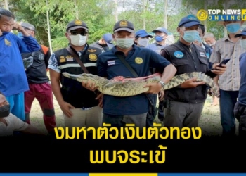 ชาวบ้านผวา-งมหาตัวเงินตัวทอง-แต่กลับเจอจระเข้-เข้ากัดได้รับบาดเจ็บ-–-topnews