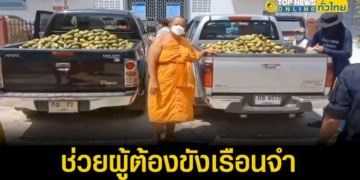 ฮือฮา.เจ้าอาวาสวัดท่าไม้แดง-เก็บมะม่วงสุก-ช่วยผู้ต้องขังเรือนจำกลางแปดริ้ว-–-topnews