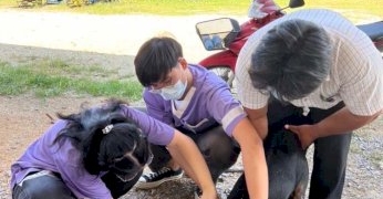 คอลัมน์ผู้หญิง-–-อีกหนึ่งโครงการดีๆ-ของนิสิตสัตวแพทย์จุฬาฯ-ในการป้องกันโรคพิษสุนัขบ้า-ณ-หมอนนาง-ชลบุรี