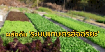 กรมส่งเสริมการเกษตร-ผลักดัน-ระบบเกษตรอัจฉริยะ-ช่วยแก้ปัญหาภาคการเกษตร