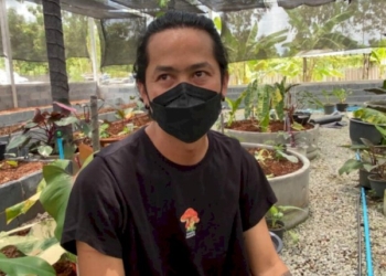 พ่อค้าไม้ด่างเมืองชลหวิดสิ้นชื่อ-ถูกเพื่อนร่วมธุรกิจไล่ยิงหน้าบ้าน-|-เดลินิวส์