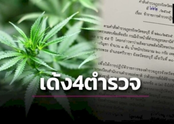 เด้ง-4-ตำรวจ-'สภ.ศรีราชา'-เซ่นผลงานจับสาวใหญ่ปลูก-'กัญชา'-ต้นเดียว-|-เดลินิวส์