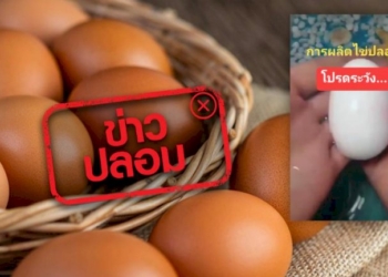 ข่าวโรคฝีดาษลิงทำยอดขายอาหารลิงเขาสามมุขวูบแล้ว-90%-แม่ค้าวอนนักท่องเที่ยวอย่าตื่นตระหนก