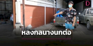 โทรฯลวงหนุ่มโรงงานไม้ตีสลบ-ชิงทอง-1-บาทตร.มุ่งปมชู้สาว-|-เดลินิวส์
