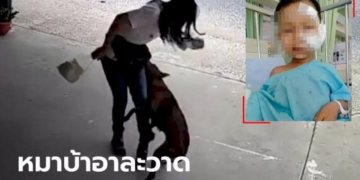 ช็อก-หมาบ้าขย้ำเด็ก-2-ขวบ-ใบหน้าเละ-ไล่กัดคนไปทั่ว-หนีไปนอนตายน้ำลายฟูมปาก