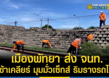 เมืองพัทยาไม่นิ่งนอนใจ-ส่งเจ้าหน้าที่ทำความสะอาดมุมมั่วเซ็กส์-ริมรางรถไฟ-–-topnews