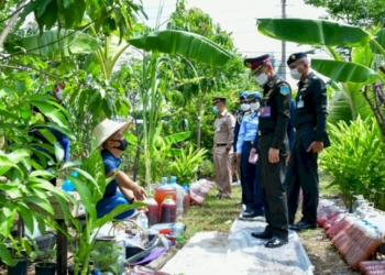 'ทัพฟ้า'-ฝึกติวเข้มกำลังทางอากาศ!-|-เดลินิวส์
