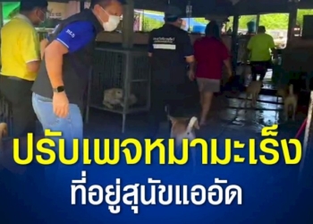กรมปศุสัตว์ลุยสอบเพจหมามะเร็ง-พบผิดพรบ.ป้องกันการทารุณกรรมสัตว์ฯ-เหตุที่อยู่สุนัขแออัด