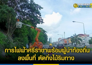 การไฟฟ้าส่วนภูมิภาค-ศรีราชา-พร้อมด้วย-ผู้นำท้องถิ่น-ลงพื้นที่-ตัดกิ่งไม้หักโค่นริมทาง-–-topnews