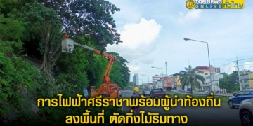 การไฟฟ้าส่วนภูมิภาค-ศรีราชา-พร้อมด้วย-ผู้นำท้องถิ่น-ลงพื้นที่-ตัดกิ่งไม้หักโค่นริมทาง-–-topnews
