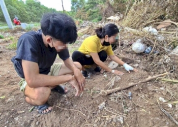 เก่งกับหมา!-แก๊งเงินกู้บุกทวงหนี้โหด-ฆ่า-'พิทบูล'-กระทืบเจ้าของเลือดคั่งในสมอง-|-เดลินิวส์