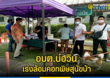 จัดหน่วยเคลื่อนที่ฉีดวัคซีนป้องกันโรคพิษสุนัขบ้า-–-topnews
