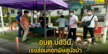 จัดหน่วยเคลื่อนที่ฉีดวัคซีนป้องกันโรคพิษสุนัขบ้า-–-topnews