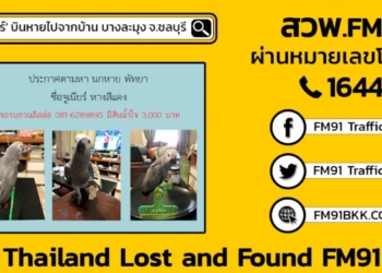 'จูเนียร์'-บินหายไปจากบ้าน-บางละมุง-จ.ชลบุรี