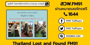 'จูเนียร์'-บินหายไปจากบ้าน-บางละมุง-จ.ชลบุรี