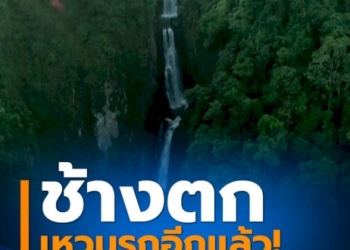 รวบพ่อวัย-54-ข่มขืนลูกมาราธอนนาน-9-ปี-ตั้งแต่อายุ-7-ขวบ-จนถึง-16-ปี