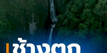 รวบพ่อวัย-54-ข่มขืนลูกมาราธอนนาน-9-ปี-ตั้งแต่อายุ-7-ขวบ-จนถึง-16-ปี