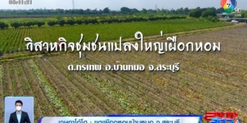 ภาครัฐรับฟังปัญหากลุ่มชาวประมงแสมสาร-จ.ชลบุรี