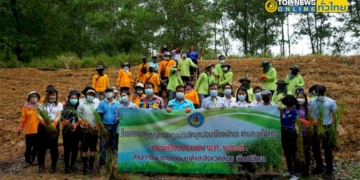 เมืองพัทยารุดปลูกหญ้าแฝกป้องกันการเกิดดินสไลด์ช่วงหน้าฝน-–-topnews