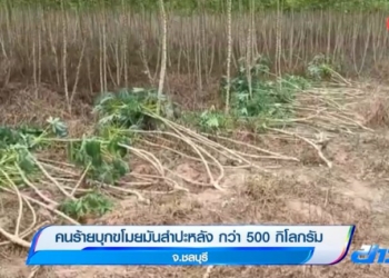 หลุมกลางถนน-อีกสาเหตุทำให้เกิดอุบัติเหตุไม่คาดฝัน