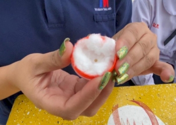 สาวโรงงานบ้านบึงกินหอยหวานเจอเม็ดกลมสีน้ำตาลบีบไม่ยุบวอนช่วยพิสูจน์-“มุกเมโล”-หรือไม่