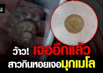 หอยหวานพบวัตถุคล้าย-“มุกเมโล”-อีกแล้วจ้า