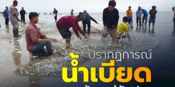 ฝนตกถนนลื่น-หนุ่มขี่รถจยย.เสียหลัก-รถพ่วงเหยียบซ้ำดับคาที่
