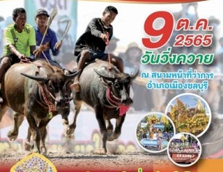 จ.ชลบุรี-เตรียมจัดงานประเพณีวิ่งควายจังหวัดชลบุรี-ครั้งที่-151