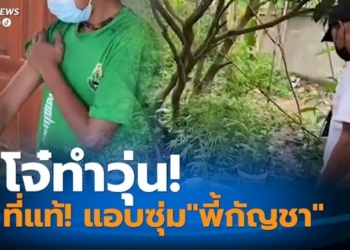 พบแล้ว!วัยรุ่น-15-ปี-หายจากบ้านปริศนา-ที่แท้แอบหนีไปซุ่มลองพี้”กัญชา”-จนหลอน!