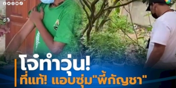 พบแล้ว!วัยรุ่น-15-ปี-หายจากบ้านปริศนา-ที่แท้แอบหนีไปซุ่มลองพี้”กัญชา”-จนหลอน!