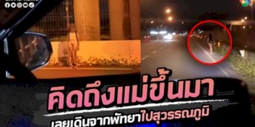 เด็กฝรั่งใจกล้า-เดินเท้าจากพัทยาไปสนามบินสุวรรณภูมิ-เพื่อบินไปหาแม่ที่จีน