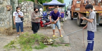 ส่องเลขงูเหลือม-4-เมตร-ขดตัวจำศีลบนยอดเสาหน้าศาล-เชื่อนำโชคลาภมาให้-|-เดลินิวส์