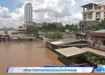 หักหลบรถขับตัดหน้า-จนเสียหลักชนเสาไฟฟ้า-เสียชีวิต-1-คน-จ.ชลบุรี