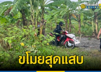 ขโมยสุดแสบ-อ้างฝนตกหลบในสวนกล้วยเจ้าของสวนเห็นผิดสังเกตุเค้นความจริงพบว่ามาขโมยกล้วย-–-topnews