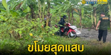 ขโมยสุดแสบ-อ้างฝนตกหลบในสวนกล้วยเจ้าของสวนเห็นผิดสังเกตุเค้นความจริงพบว่ามาขโมยกล้วย-–-topnews