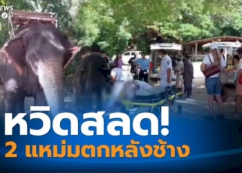 นักท่องเที่ยวตกจากหลังช้างบาดเจ็บ-หลังช้างพลาย-2-เชือก-เดินเบียดกันจนล้ม