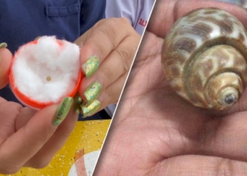 สาวกินหอยหวาน-เจอเม็ดกลม-บีบไม่ยุบตัว-วอนช่วยพิสูจน์ใช่-“มุกเมโล”-หรือไม่