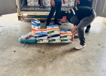 ศุลกากรท่าเรือแหลมฉบังตรวจคุมเข้ม-หมูเถื่อนลักลอบเข้าประเทศ-|-เดลินิวส์