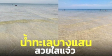 ไวรัล!-ภาพชายหาดบางแสน-จ.ชลบุรี-น้ำทะเลสวยมาก-ใสแจ๋วแล้ว