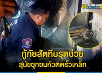 กู้ภัยสัตหีบ-รุดช่วยเหลือสุนัขซุกซนหัวติดรั้วเหล็ก-–-topnews