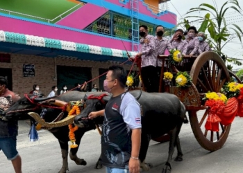 เทศบาลเมืองบ้านบึงจัดงานประเพณีวิ่งควาย-ประจำปี-2565-สืบสานวัฒนธรรมที่มีมาแต่โบราณ