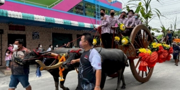 เทศบาลเมืองบ้านบึงจัดงานประเพณีวิ่งควาย-ประจำปี-2565-สืบสานวัฒนธรรมที่มีมาแต่โบราณ